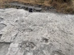 The Laetoli Footprints—the oldest hominin footprints ever found—are at risk of destruction