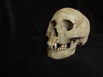 Could this ancient burial site be the oldest lethal plague outbreak?