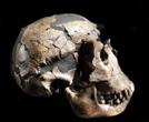 Ancient human ancestors may have first used fire 1.79 million years ago