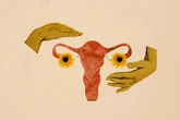 The biological dogma that women don’t make new eggs after birth may be wrong