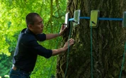 Can plants have consciousness? The film Silent Friend reimagines the science