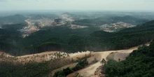 Indonesia's New Capital Is Changing the Borneo Rainforest Forever. Science is Listening to the Change