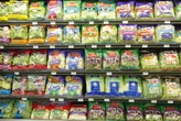 How to avoid getting cyclosporiasis—and why washing lettuce may not be enough