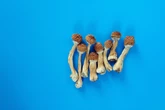 Americans are increasingly open to using psychedelics for medical reasons
