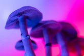 RFK, Jr., puts psychedelics on fast track to FDA review and approval