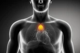 This tiny, forgotten organ could help us live longer, healthier