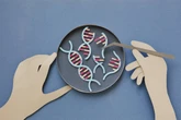 ‘Universal’ aging clocks offer new clues to longevity