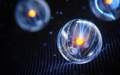 The quantum arrow of time can be reversed, physicists show
