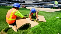 The surprising science behind the 2026 World Cup grass