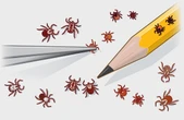 Got a tick bite? Here’s what to do and when to seek treatment