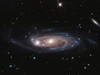 How big can a galaxy get?
