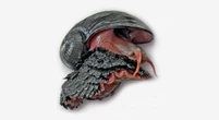 To celebrate Endangered Species Day, meet the scaly-foot snail, the most metal animal in the world