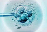 China just launched a bunch of fake human embryos into space on a new research mission