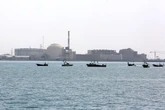 Why bombing Iran's nuclear power plant could cause an environmental disaster