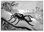 June 2026: Science history from 50, 100 and 150 years ago