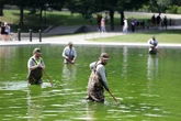 A water treatment expert on what could actually fix the Reflecting Pool