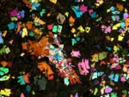 Rare meteorite might be a relic from a ‘lost world’