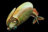 500-Million-Year-Old ‘Alien Fish Taco’ Was among First Creatures with Jaws