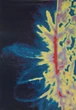 September 2025: Science History from 50, 100 and 150 Years Ago