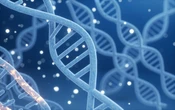New DNA Search Engine Brings Order to Biology’s Big Data