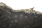 How Climate Change Is Increasing Landslide Risk Worldwide