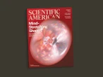 Beautiful Shapes, a Magic Molecule and Elephant Bromances