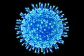 Concerning Bird Flu Virus Mutations Found in Severely Ill Patient