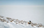 Greenland’s Ice Sheet Collapse Could Be Closer Than We Think