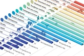 Why Some Animals Live for Only Days and Others Live for Thousands of Years