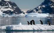 Remote Antarctica May Be Polluted with Far-Flung Plastic Trash