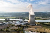 Miniature Neutrino Detector Catches Elusive Particles at Nuclear Reactor