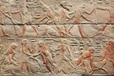 First Human Genome from Ancient Egypt Sequenced from 4,800-Year-Old Teeth