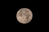 A SpaceX rocket booster may be on track to hit the moon in August