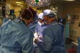 Pig Kidney Transplanted into Living Human for First Time