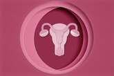 Uterus Transplants, Once Highly Experimental, Have Led to Dozens of Births