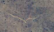 What Caused This Seven-Mile Scar in Australia's Outback?