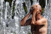 Hottest Survivable Temperatures Are Lower Than Expected