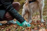 Leaving Pet Poop on the Sidewalk Isn't Only Bad Manners--It's Hazardous