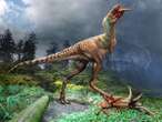 Tyrannosaur's Stomach Contents Have Been Found for the First Time