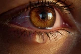 Sniffing Women's Tears Makes Men Less Aggressive