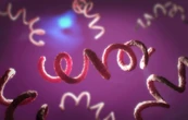 Syphilislike Diseases Have Plagued Humans for 14,000 Years