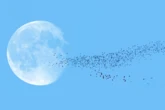 Human Remains Are Headed to the Moon, Despite Objections