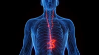 Zapping the Vagus Nerve Could Relieve Some Long COVID Symptoms