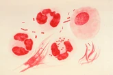 New At-Home STI Test Could Help Stop the Spread of Infection