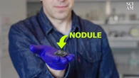 Polymetallic Nodules, a Source of Rare Metals, May Hold the Secrets of 'Dark Oxygen'