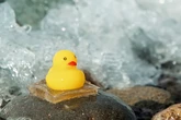 AI-Designed Hydrogel Inspired by Nature Creates Ultra-Strong Underwater Adhesive