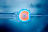 IVF Treatment in the U.S. May Be at Risk, Scientists Warn