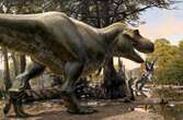 How Did Dinosaurs See, Smell, Hear and Move?