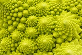 Mathematicians Discover Prime Number Pattern in Fractal Chaos 