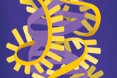 We Thought DNA Ran Our Lives until We Discovered RNA Is in Charge